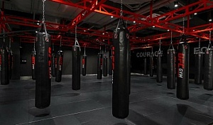 Лагерь для взрослых Upgrade Your Body совместно с UFC Gym Russia 