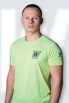 Городецкий Михаил